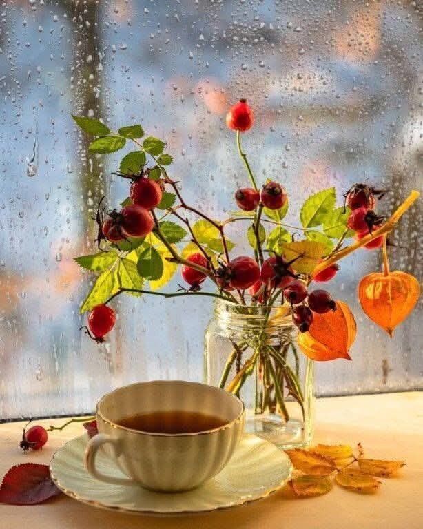 ������� ���������������� ��������