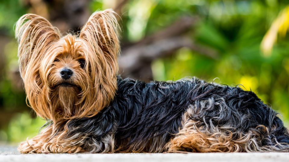 �������� ������������ ������� ������� ����������� ����� ������ ������� ��� �������� ����������