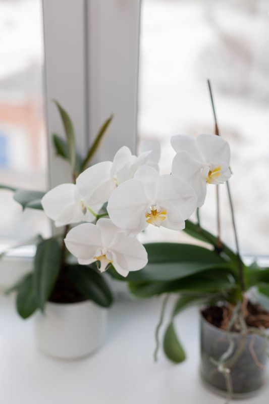 ���� �� ���������: �������� ���� ��� ��������� ��������