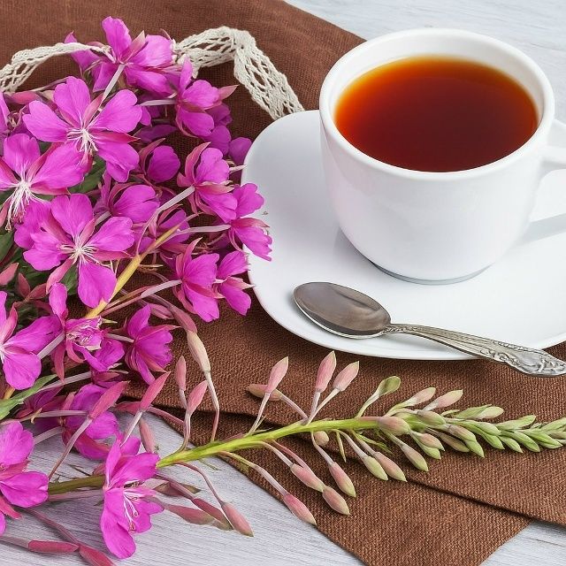 ����-���: ���� � ������ �������� � ��������