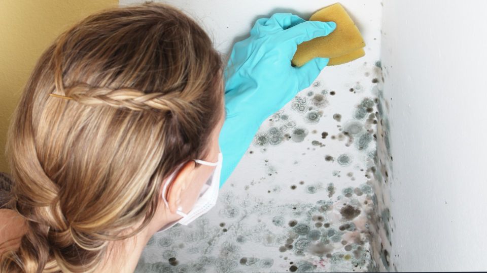 ��������� ����������: ������� � ������ ��������� ��� ������� ��������