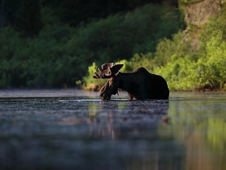 ����� ��� �����: � ������ ������� ����� �� ������������� �������� ��������� ����