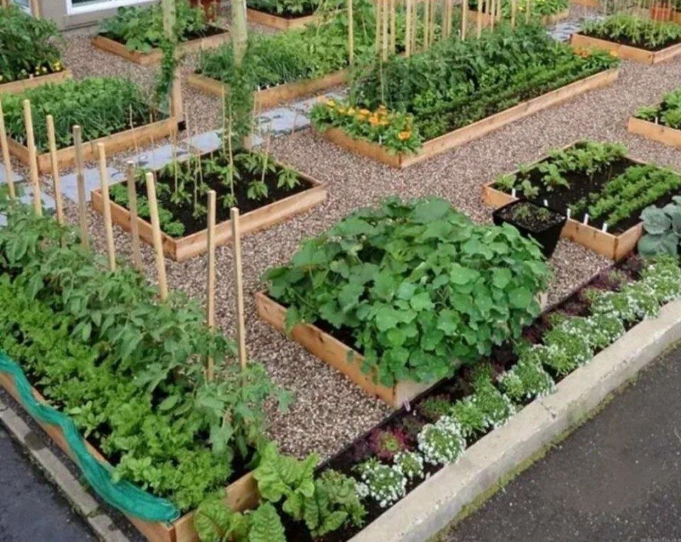 ������ � ������� ������� �� ������ �������� ������?