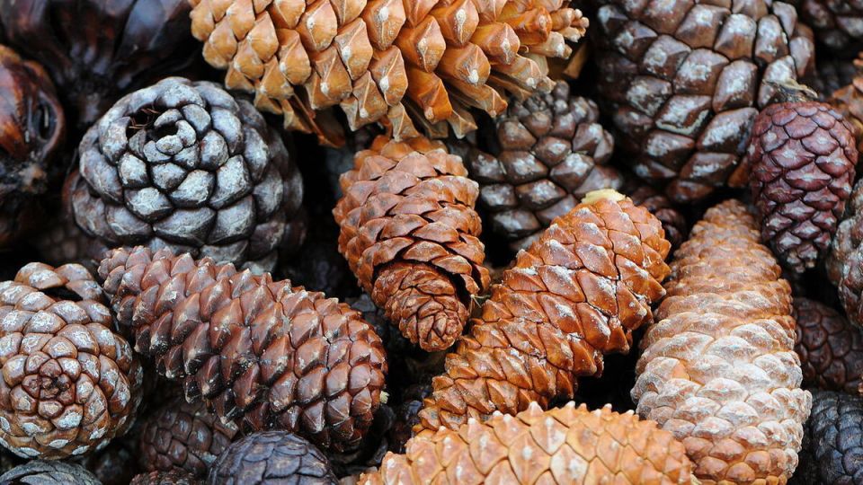 ������������� ����� ��� ���������� �������