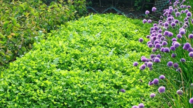 ��������: ������� ��������� ������ � ������ � ���������