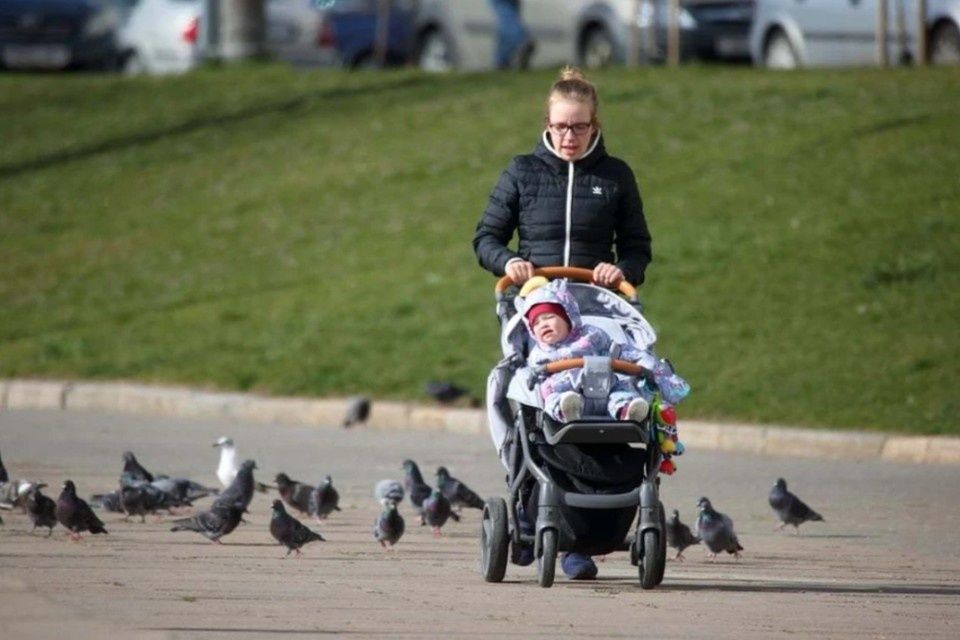 Социальные выплаты: что ожидать с 1 февраля