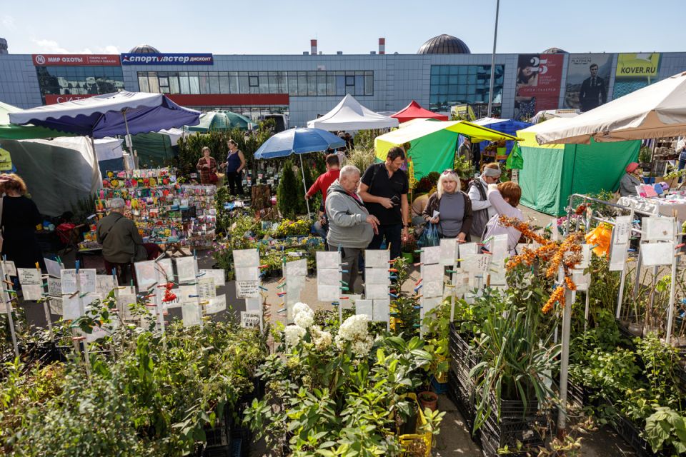 осень на даче: не пропустите выставку в