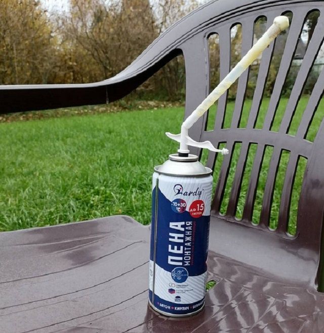 ��� ����� �������� ���� �� ��������� ����: ������� � ����������� ������