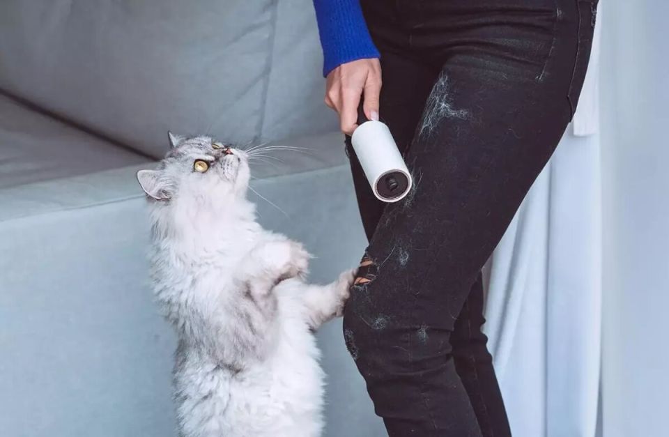 ��� ������ ������ �������� �� ����� ������: ������� ������� ��� ���������� ������