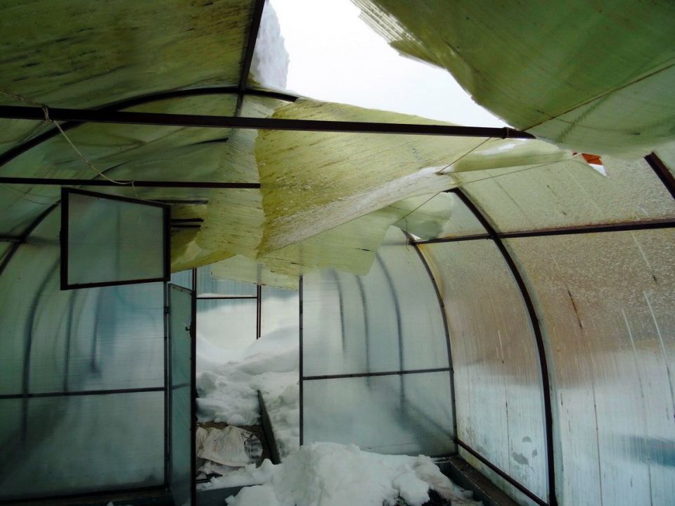 �������� ������������� �����: ��� ��������� ������� �������