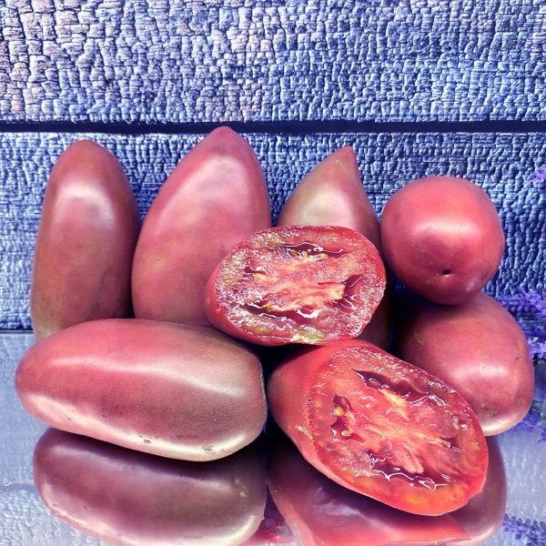 ���������� �������� �������: ��������� ����� � ����� ������ � �������