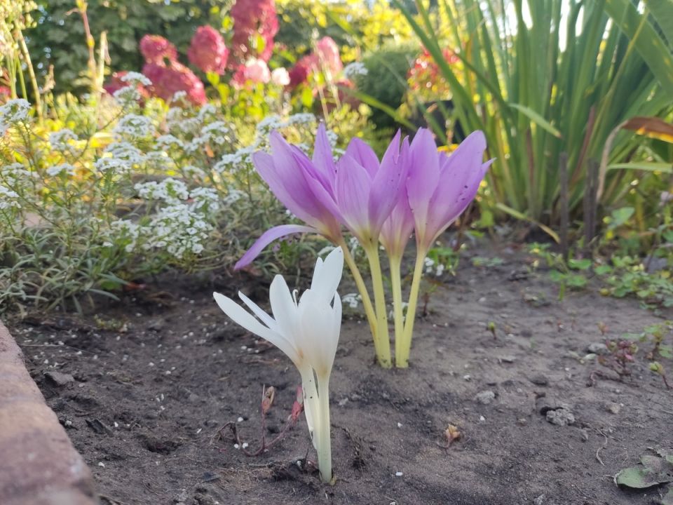 ������������ ���: �� ������������ ������ �� ���������