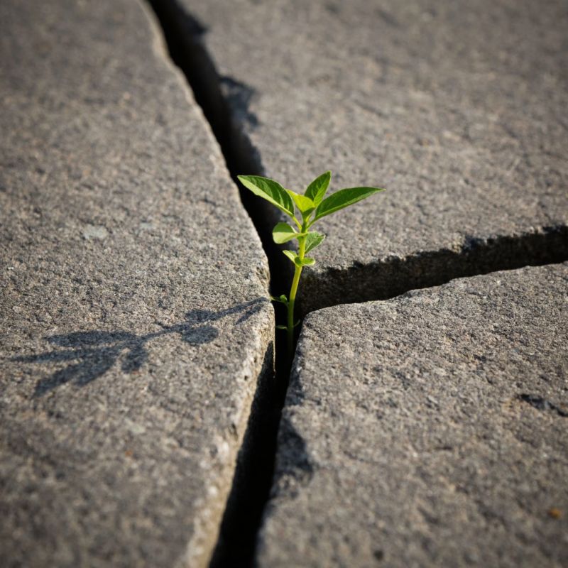 ��� �������� � ���� ���������� �������� ����������