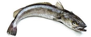 ��� � ������: ��������� �������� ��� ������ ��������