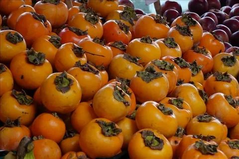 ��� ��������� ����� � ����� ����: ������� ��������� �����