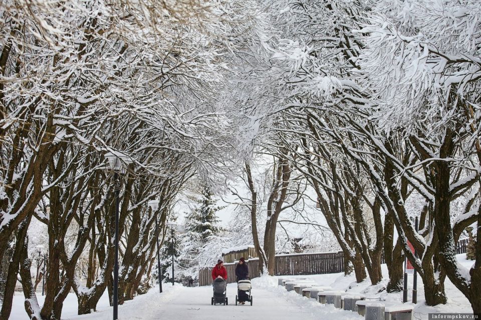 ������� �������� ������ ��������� ��� ���������� ����� � ������������