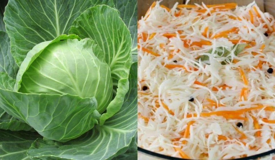 ��� �������� ������ � ����� � �������� �������: ����������� ������