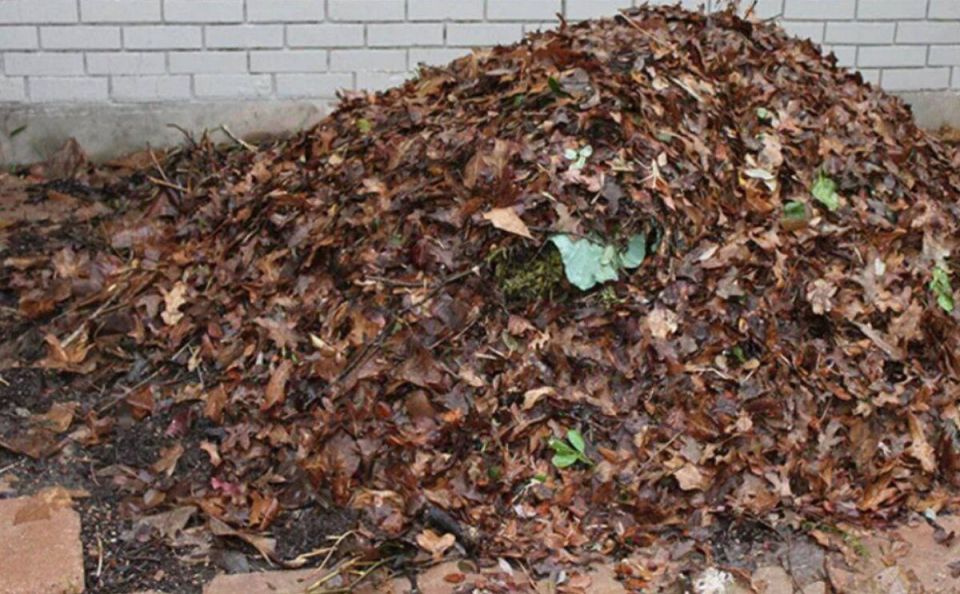 ������ ������� ������ � ��� �� ����, � ������ ���� ������ ����