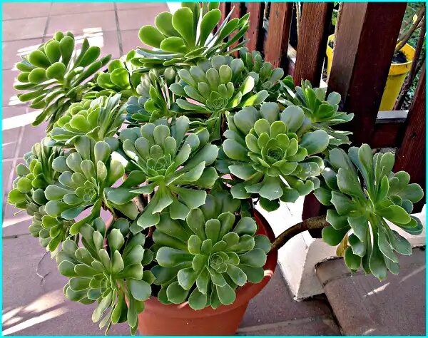 ������: ����������, ������� �������� ����� ��������