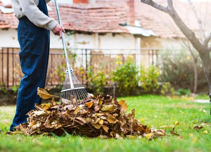 ����������� ������� ������ ���� �� ������� ������