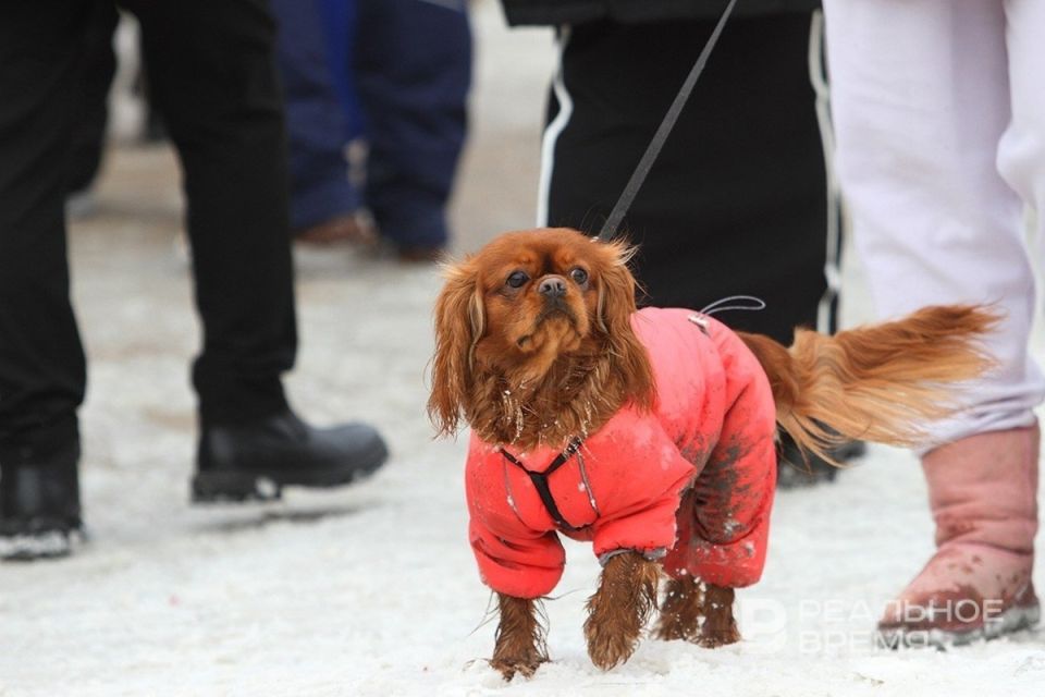 � ������� ���������� �������� �������� �������� �� ������������� � �������� ������