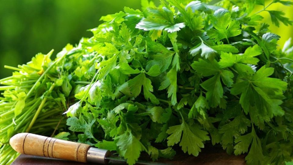 ��� ��������� ��������� ��������: �������� ������ � ������� ������