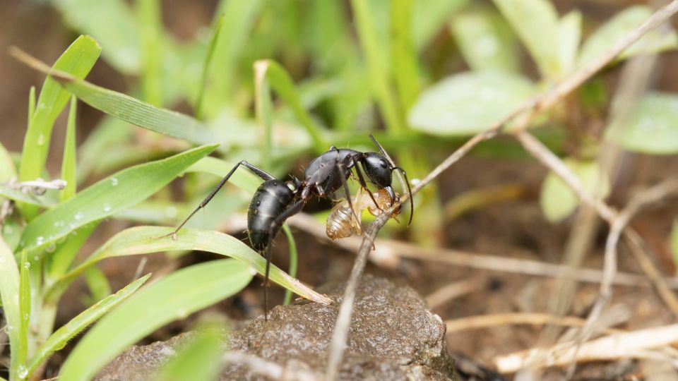 ������� �������� �� ���� ��������� �����: ��������� �� ������� 2 ���������� � �����