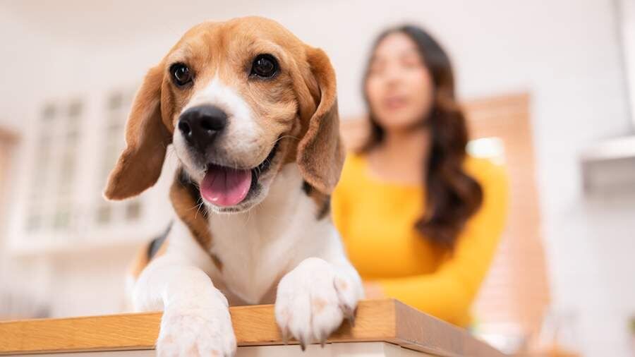 ������� ��� �� ������ �������� ��������: ��� ����� ����� � ��������� ���������