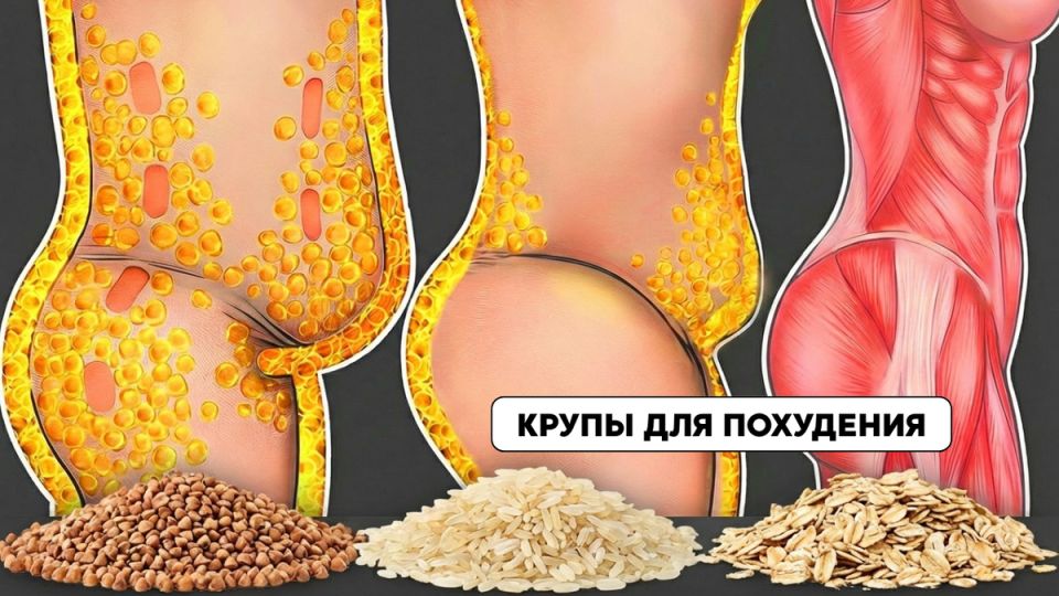 ������ �������� �� �����: ������� ���������� � �������