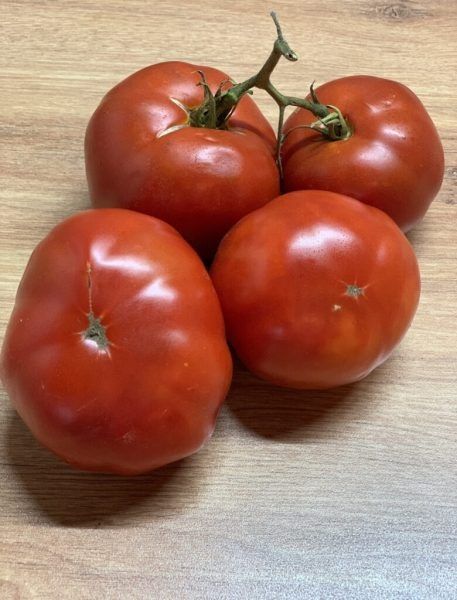 ����� ����������� �������: ������� ������� � �������� ������