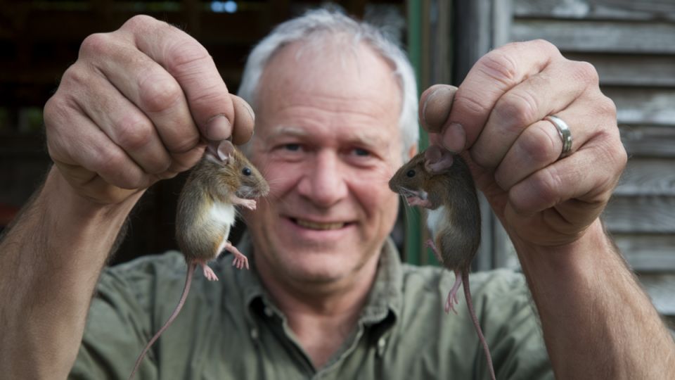 ��� ���������� �� ����� ��� �����: ����������� � ���������� ������