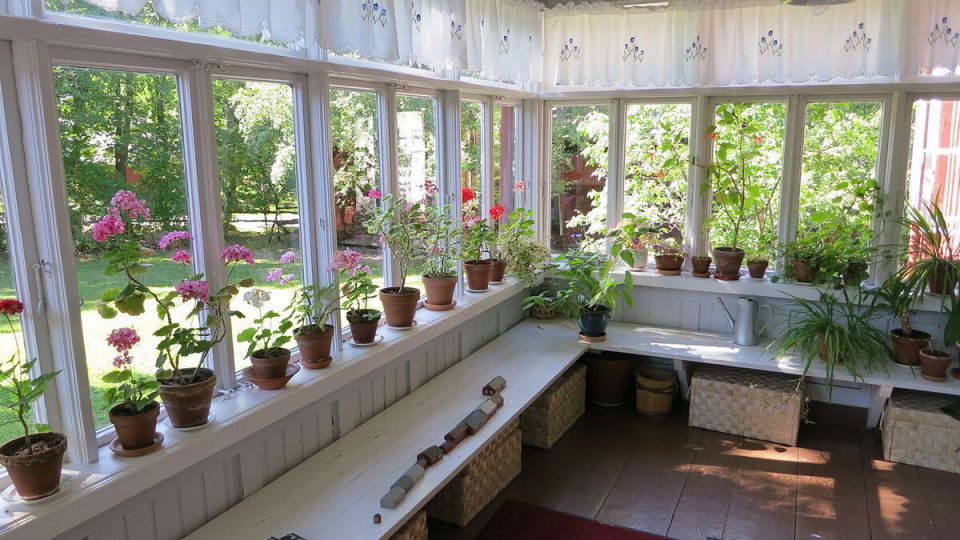 20 �������� � ��������: ����� ������ ��� ������ � 5 ������� ������