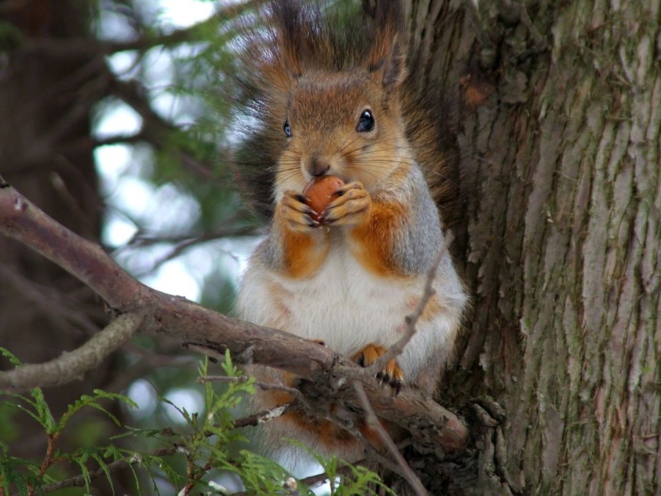 ������: ��� ��������� ����� ����� ����� � ������� ������ ������