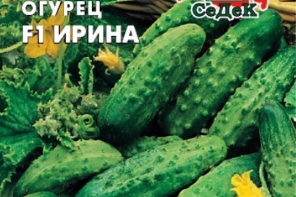 ������ �����: ��� ��������� ����� �������� ��� ������ ������