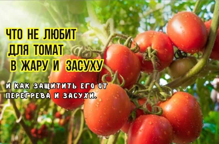 ������ ��� ������� �������: ��� �� ���������