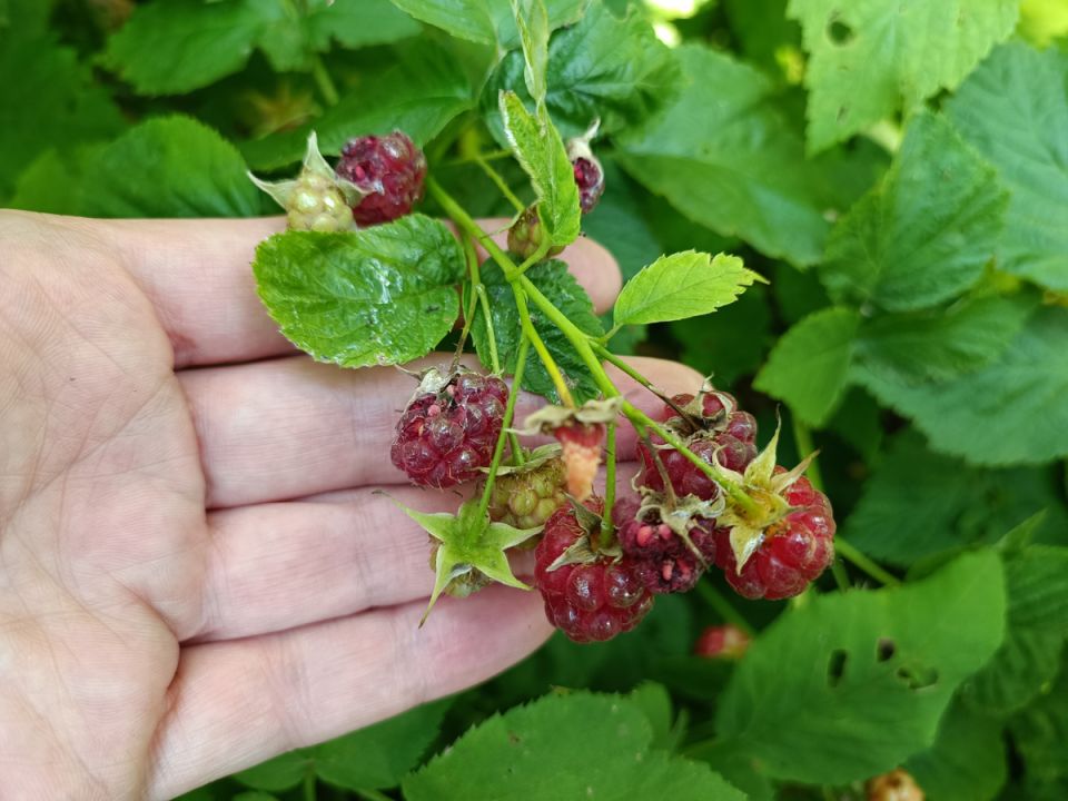 ����� ����� ������� ������: ��� ������ ������ � ������������� ������