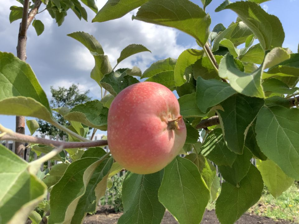 ��� �������� ����������� ������ ������ ������ ���