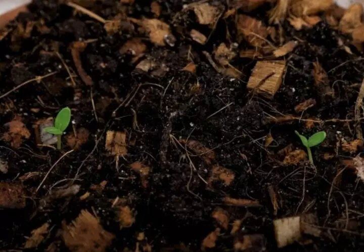 ������ ���� ������ �� �������? ��������� ������ ��� ��������� �����