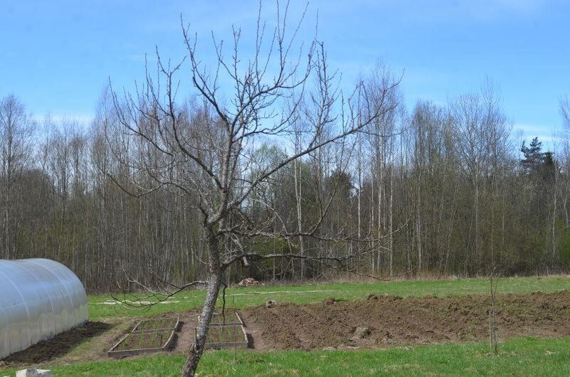 ��� � ���� ���� ����� �� ���������� � �������� � ������� ������ � ������!