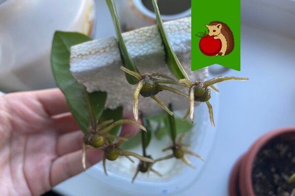 ��� ��������� ��������� �������� ����� � ������: ������� �� ��� ������