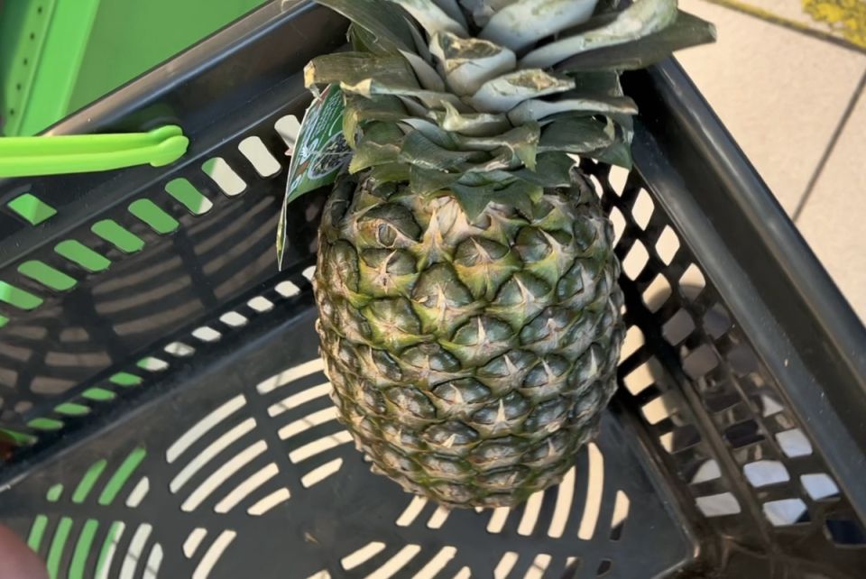 ��� ��� ������� �������� �� �������� � ���������: ����� ��� ��������