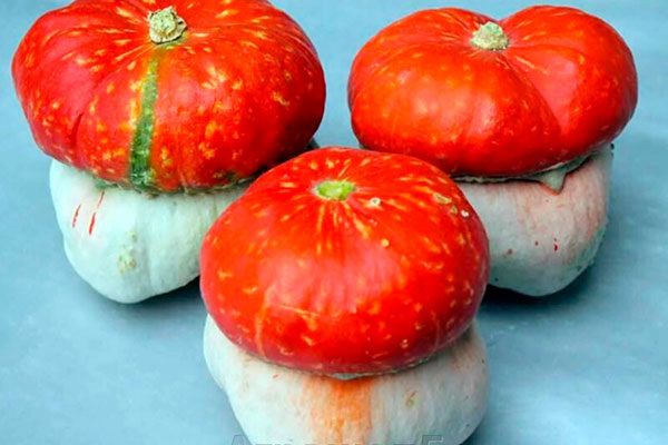 ���������� ����� ������� �������: ����������� � ������ �� �����������