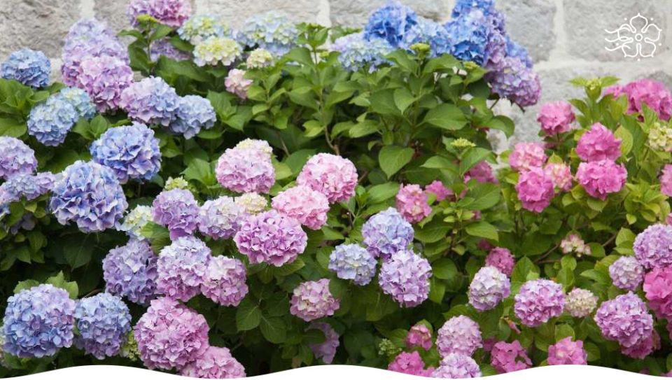 ���������, ������� ���������� ��� ��� � ��������� ������