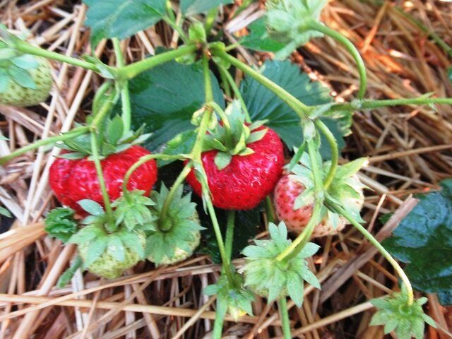 �������� ���� �� ���������� �������: ������� ��� ������� ������