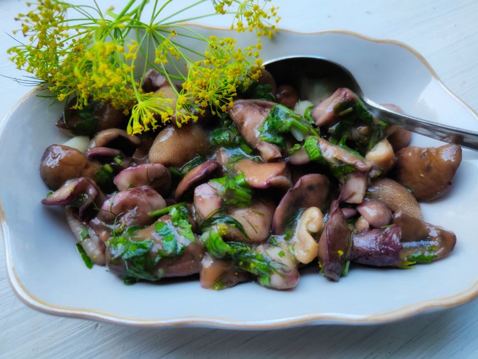 ������� �����������: ������������ �������� �� ���� ���������