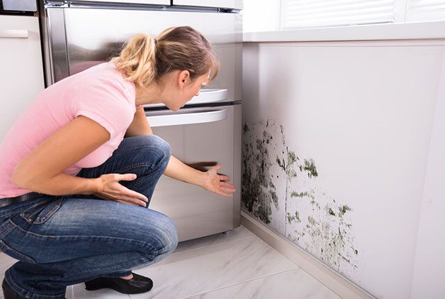 Как эффективно избавиться от плесени в доме: практические советы