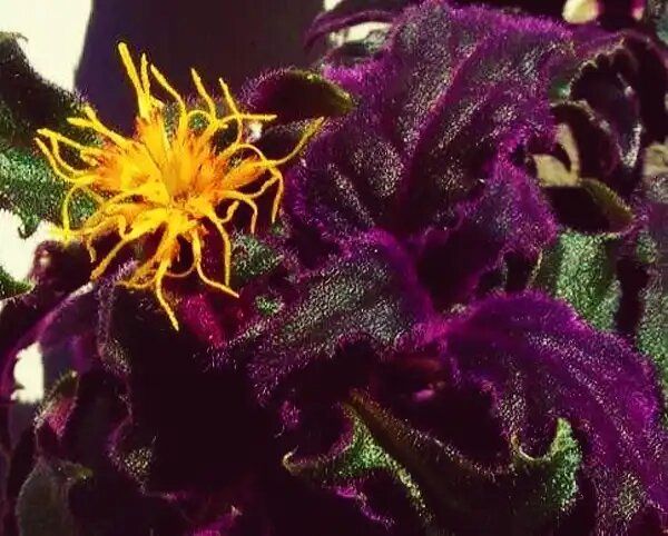 ������: ������������ ������������ �������� ��� ������ ����