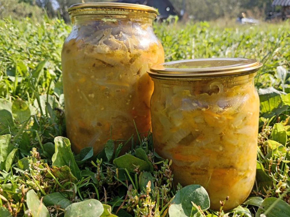 Зеленые помидоры: три незабываемых рецепта заготовок на зиму