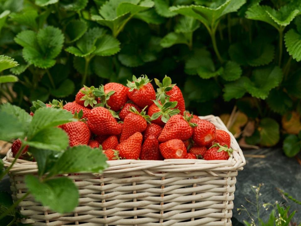 ���� � ����� �����: ��� ��������� �������� � �� �������� ��� ������