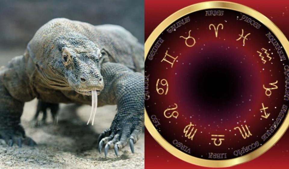 ����� ������� ������������� ��� ���� �������?